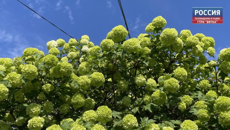 Во вторник, 2 августа, в Кирове обещают  18