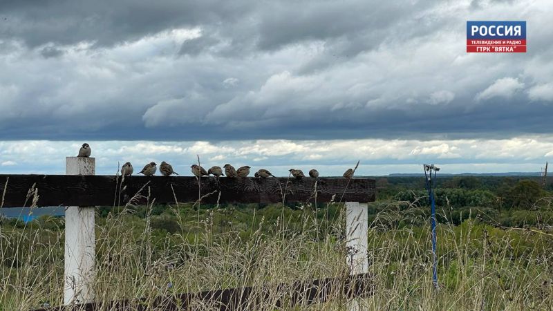 В четверг в Кировской области ожидается переменная облачность