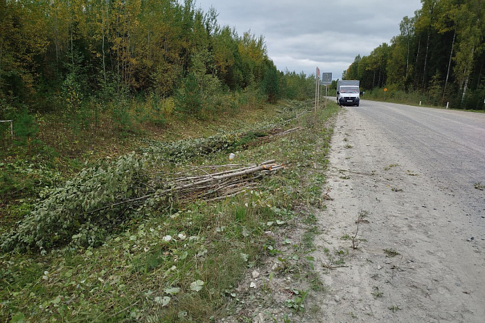 Началась подготовка к реконструкции дороги «Пинюг-Скрябино» в Подосиновском районе