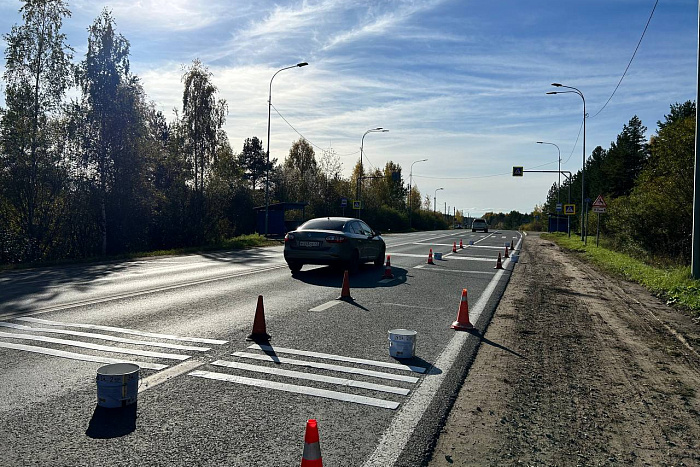 На 25 участках дорог Кировской области установят шумовые полосы