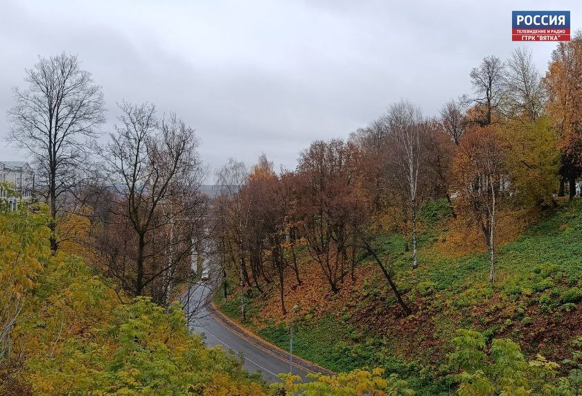 В четверг в Кировской области ожидается небольшой дождь