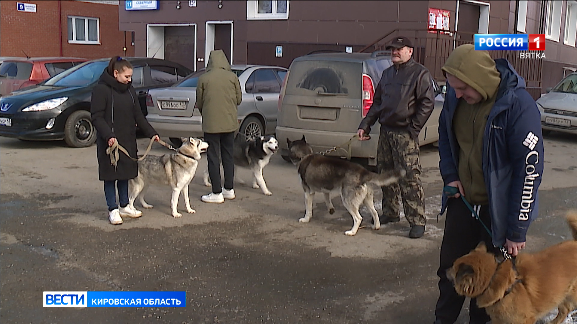 В Октябрьском районе города Кирова пройдет вакцинация домашних животных