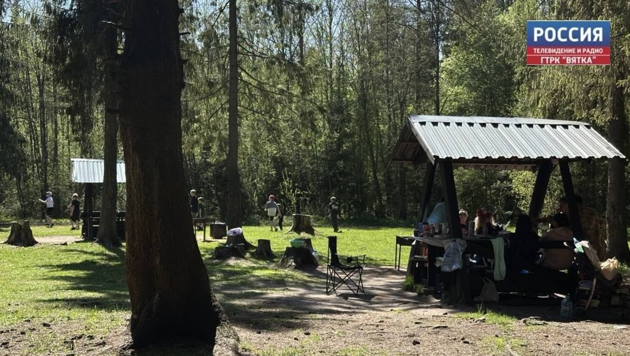 Тропу здоровья в парке в Порошино планируют сохранить