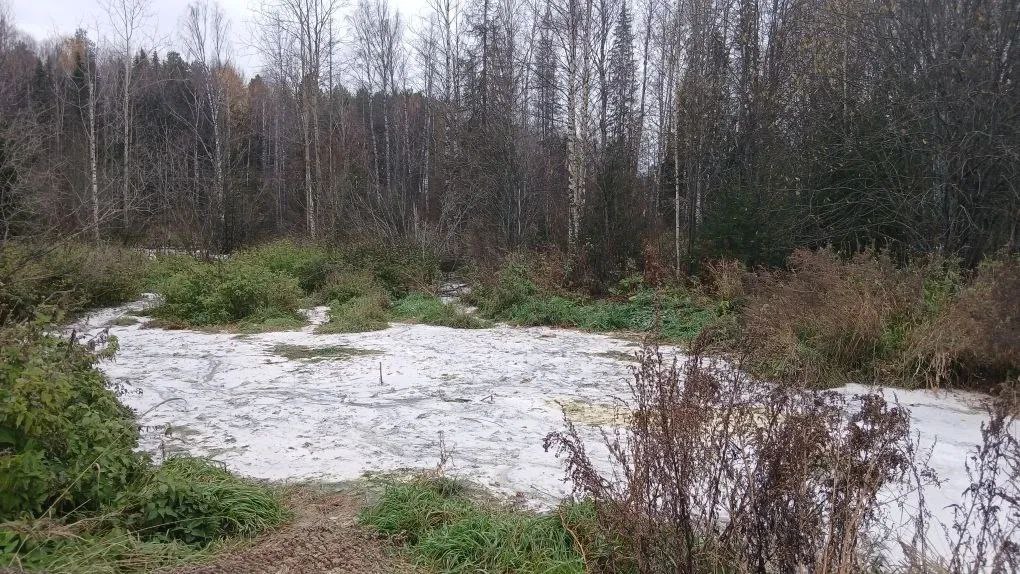 Кировские экологи вместе с полицией установили вопиющую ситуацию вблизи села Курино Котельничского района