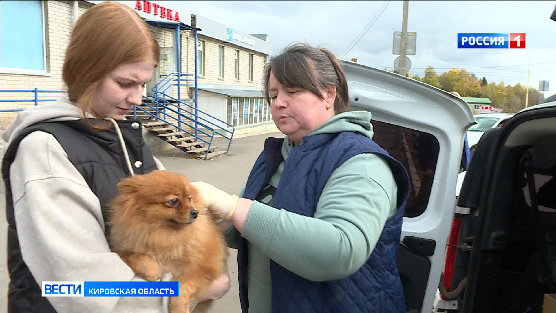 В Кирове стартовала выездная вакцинация домашних животных от бешенства