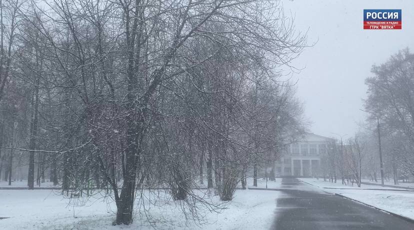 Туман, снег и гололедицу на дорогах прогнозируют в субботу в Кировской области