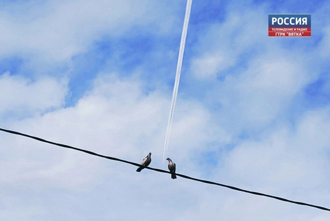 Понедельник в Кирове будет без существенных осадков