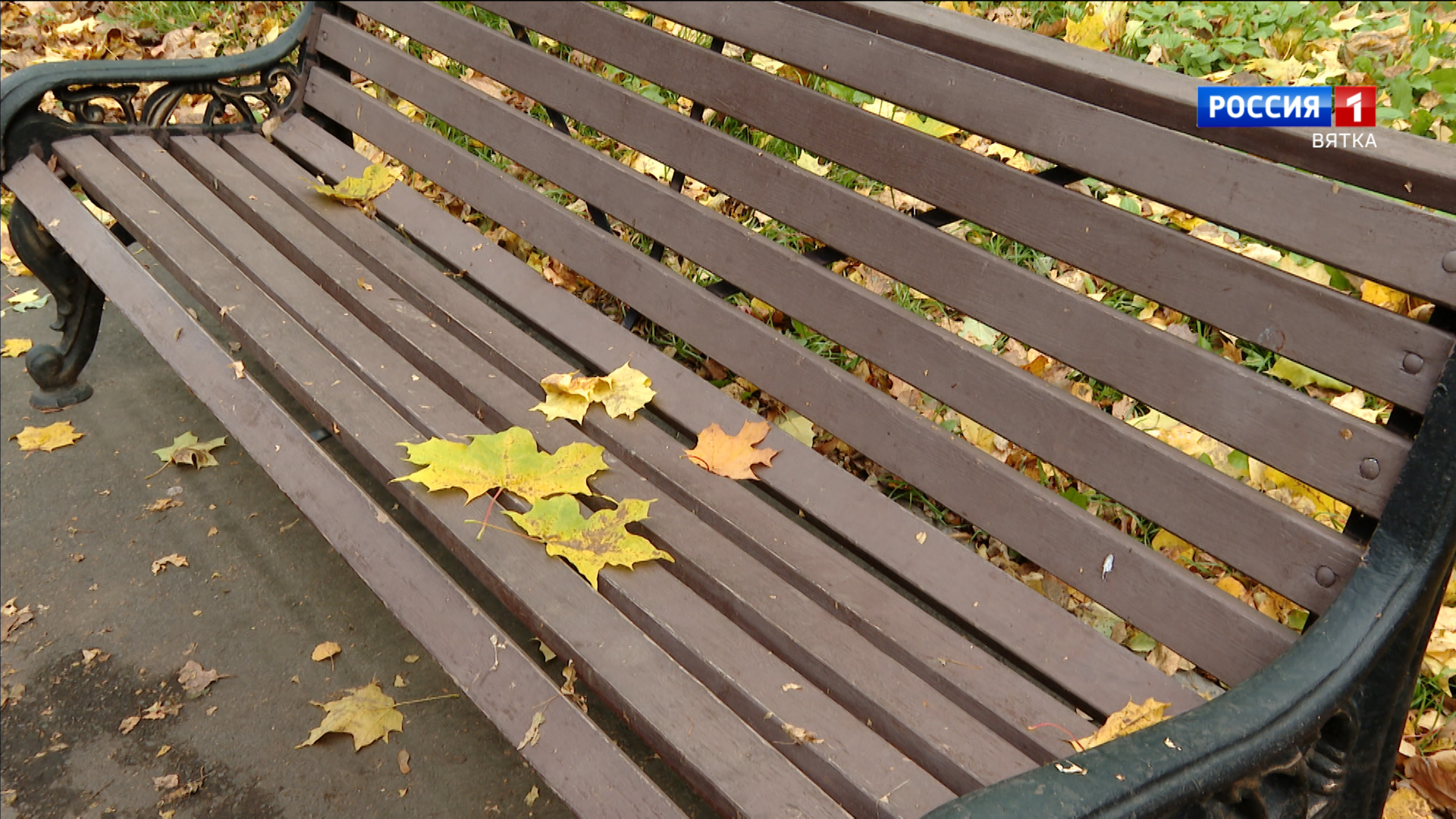 Синоптики рассказали о погоде в Кировской области на конец октября