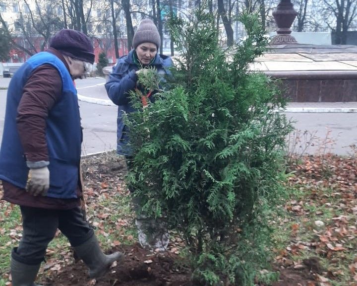 Туи и кизильник высаживают в сквере на Театральной площади