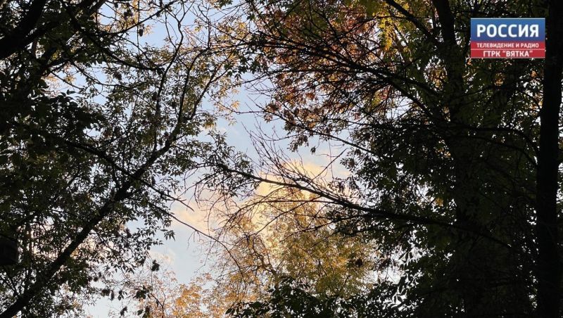 В субботу в Кировской области обещают до  13 градусов