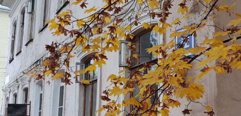 В воскресенье прогнозируют без осадков в Кирове и небольшой дождь в районах