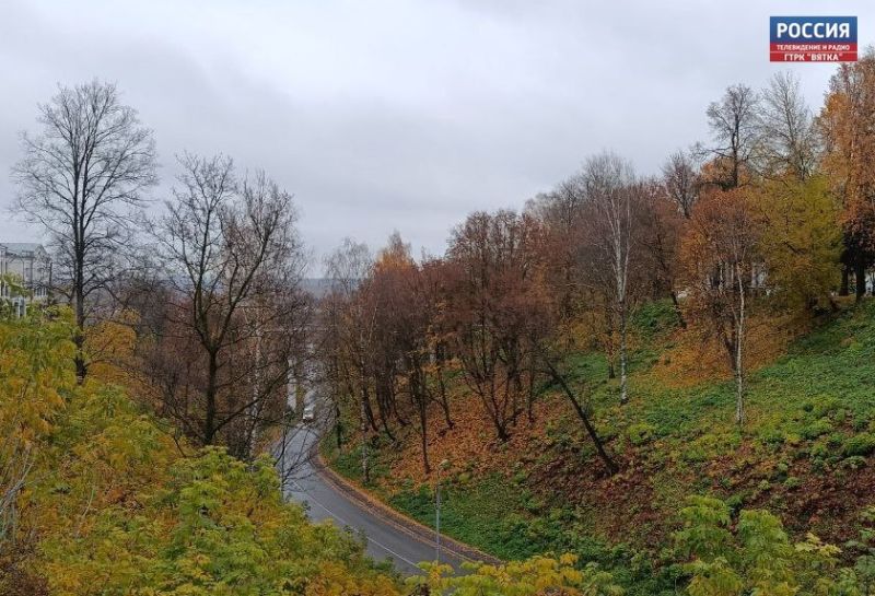 В четверг в Кировской области ожидается небольшой дождь