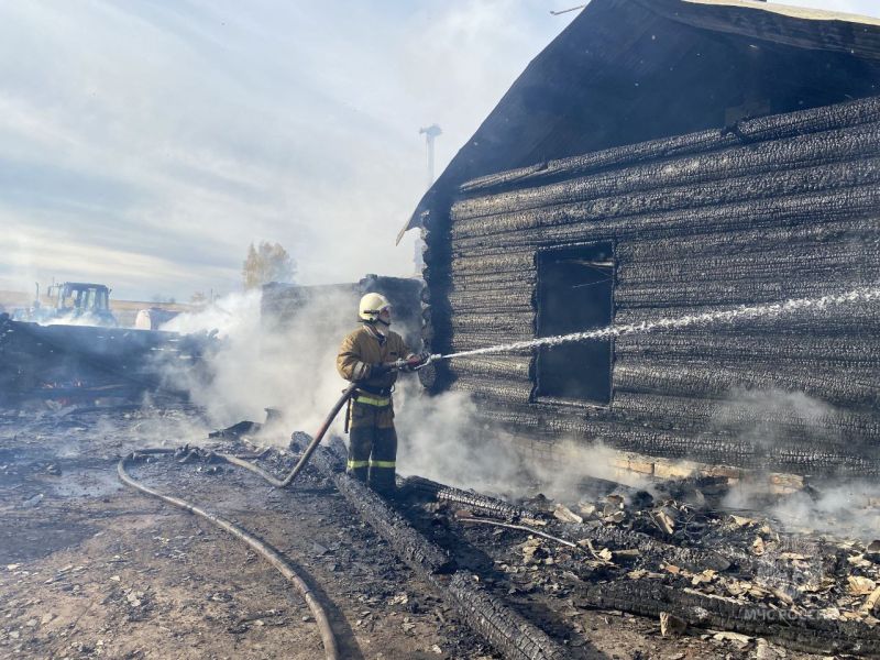 В Малмыжском районе мама спасла 7-летнего сына из пожара