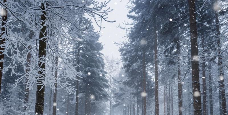 В Кировской области выпал первый снег