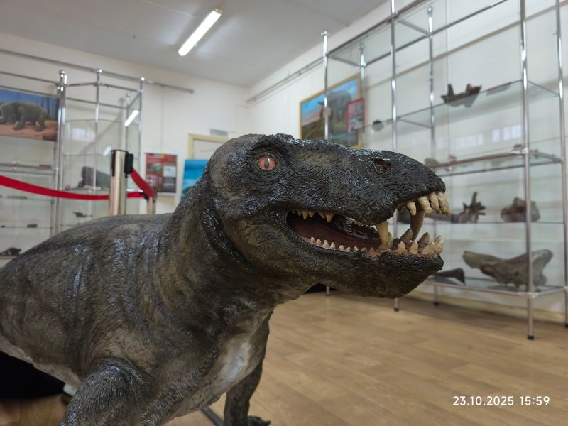 В Удмуртии представлена выставка Вятского палеонтологического музея