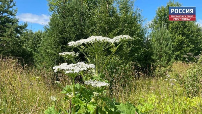 Кировский проект стал вторым на всероссийском конкурсе информатизации