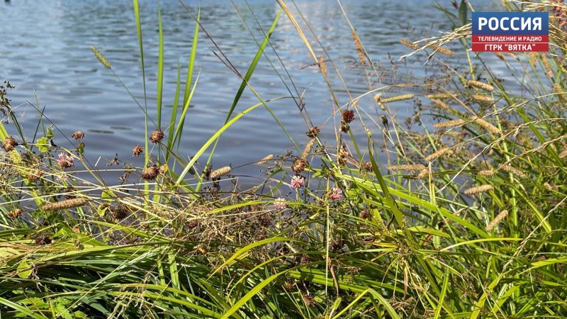 Информация о загрязнении реки Юг передана в Росприроднадзор