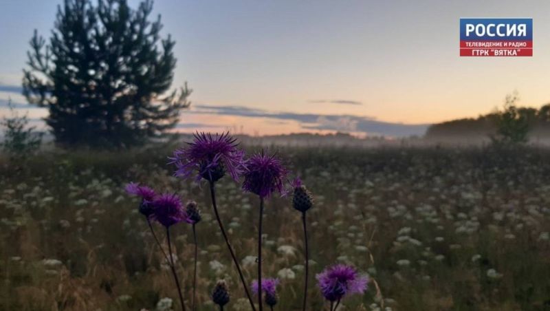 В среду в Кировской области ожидается до  13 градусов