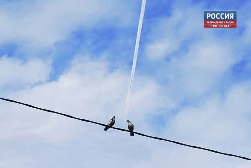 Понедельник в Кирове будет без существенных осадков