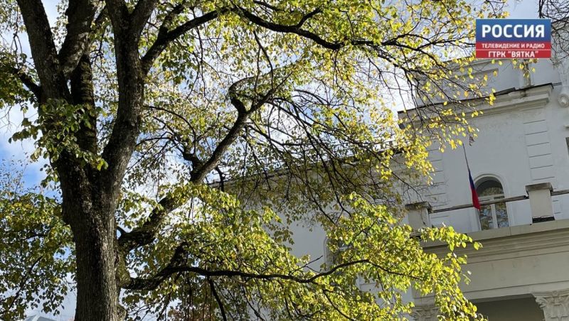 Во вторник в Кирове обещают погоду без осадков и до  14