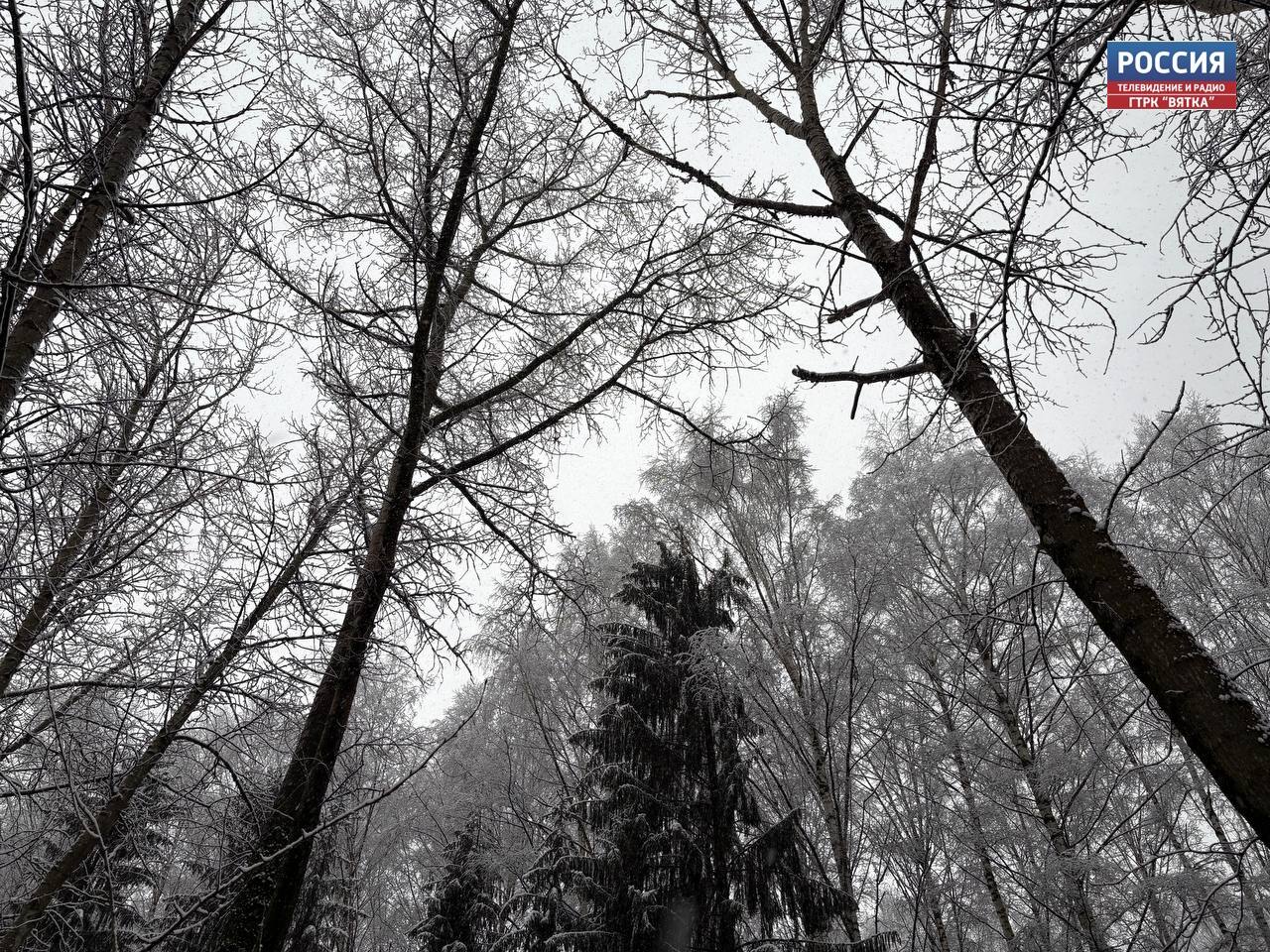 В Кировской области в воскресенье прогнозируют облачную с прояснениями погоду