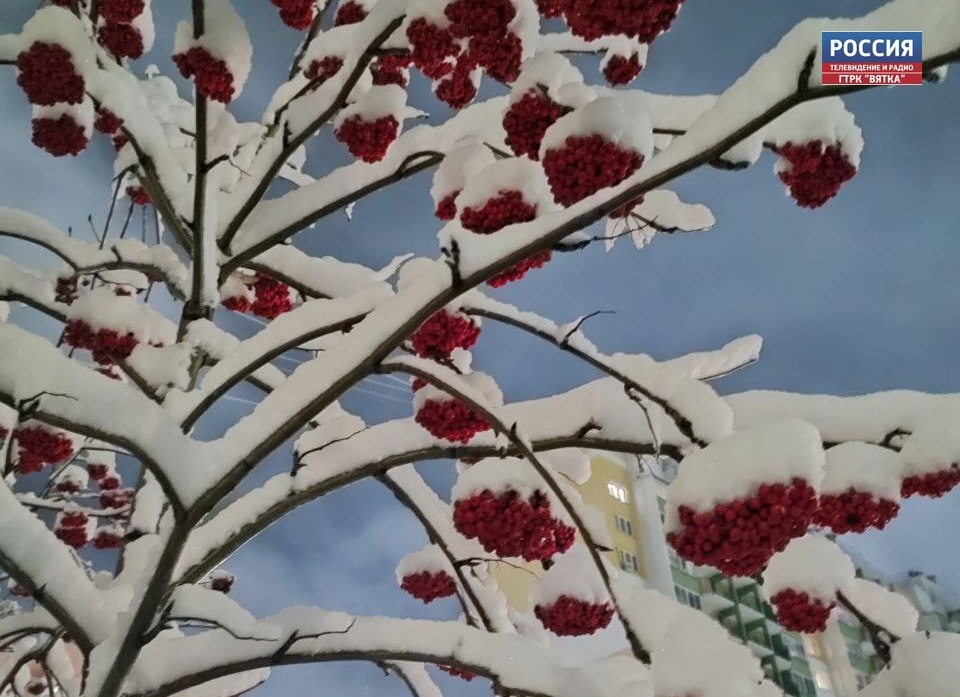 В воскресенье в Кировской области прогнозируют дождь со снегом и гололёд