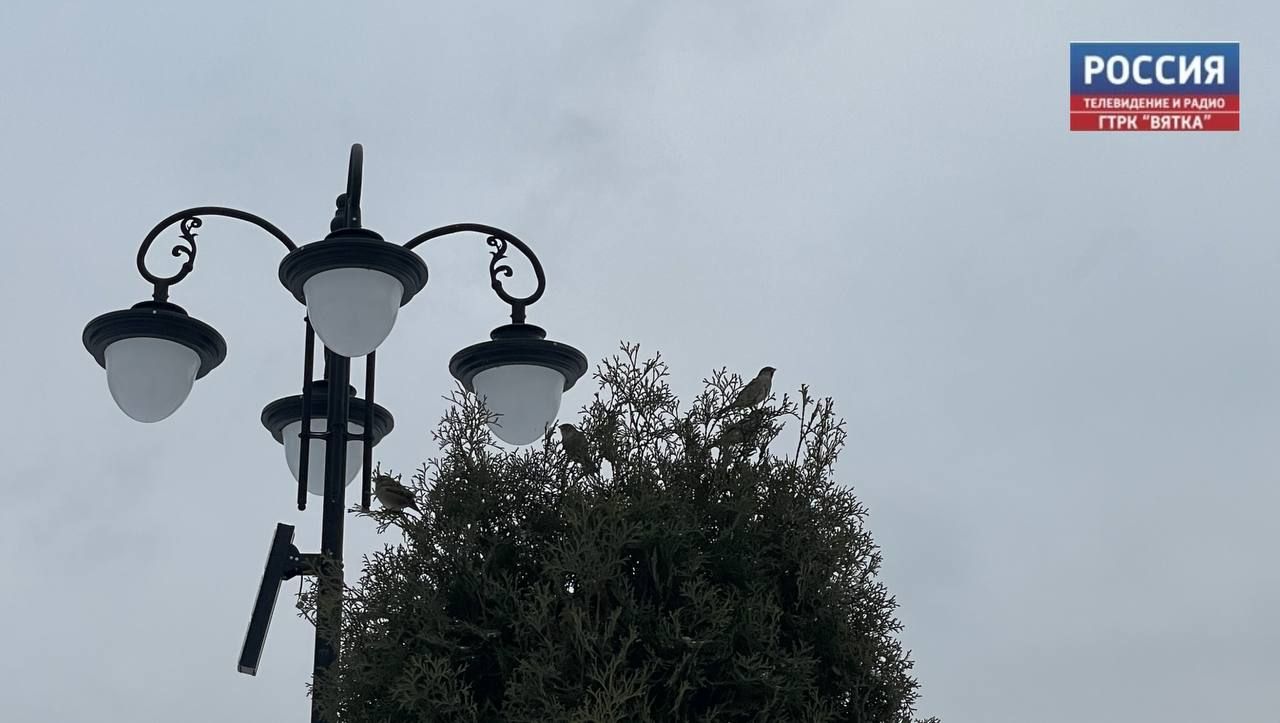 В понедельник в Кирове обещают до -2