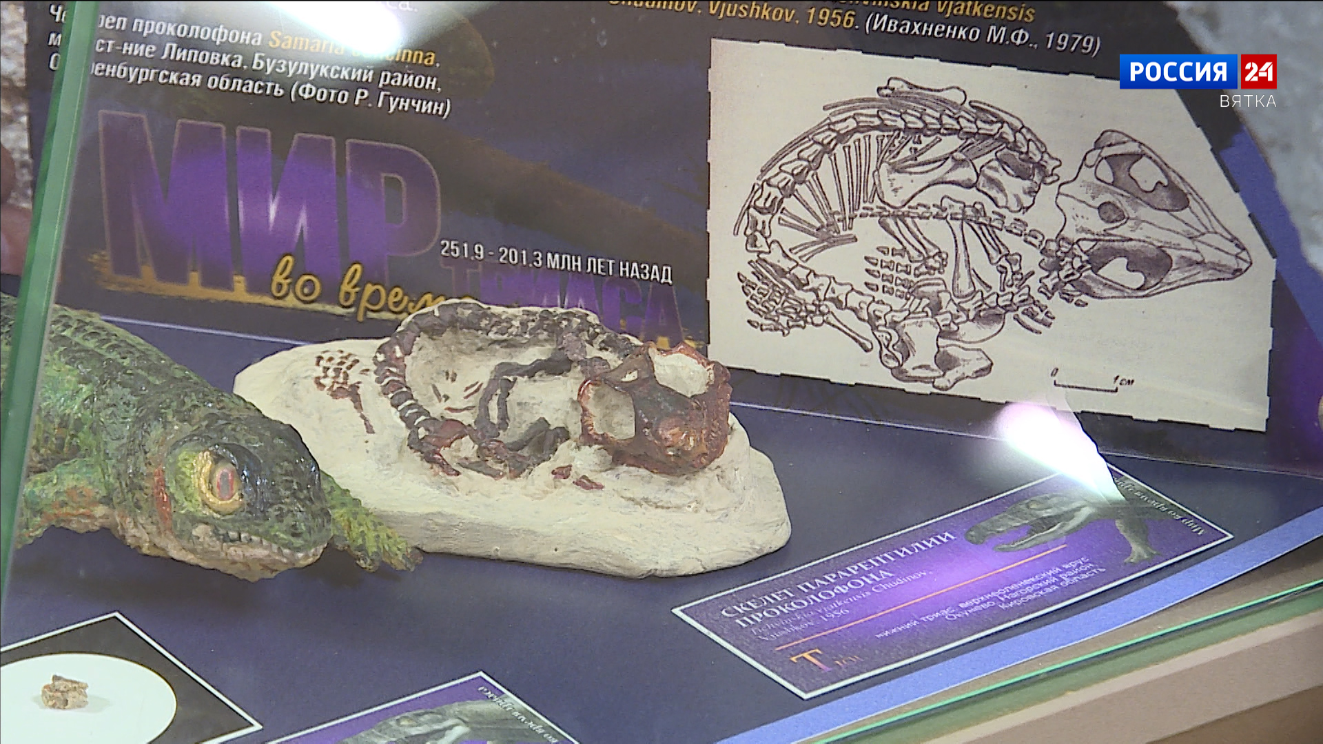 В Кирове можно погрузиться в самое начало «эры динозавров»