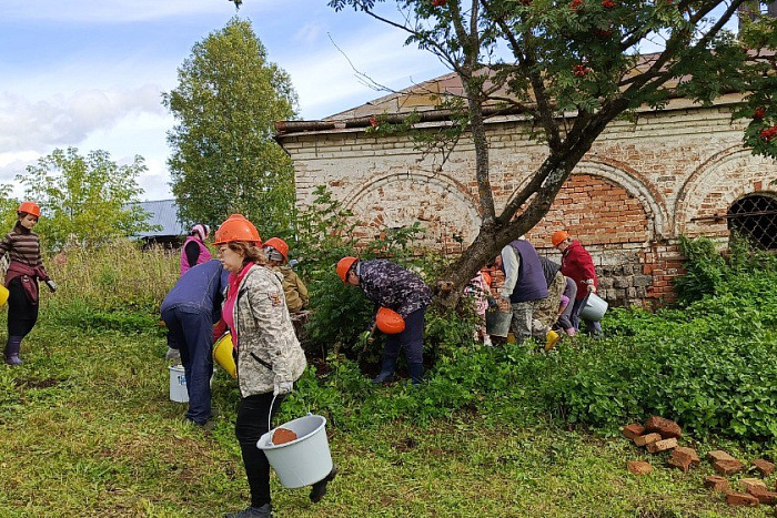 7 тысяч деревьев и кустарников посадили жители Кировской области в рамках акции «Зеленая Россия»