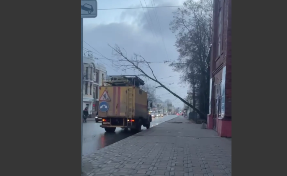В Кирове убирают упавшие из-за сильного ветра деревья