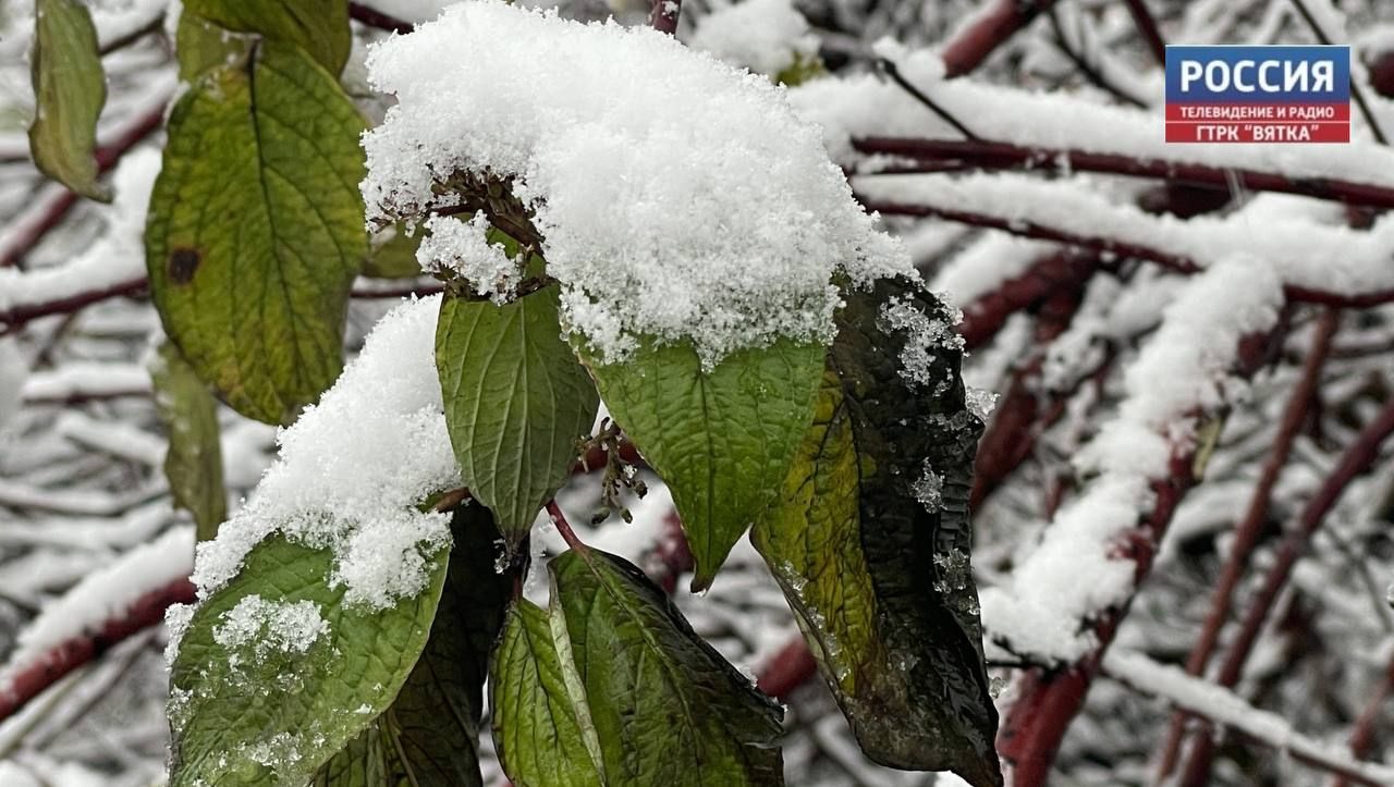 В понедельник в Кирове без осадков и до -3