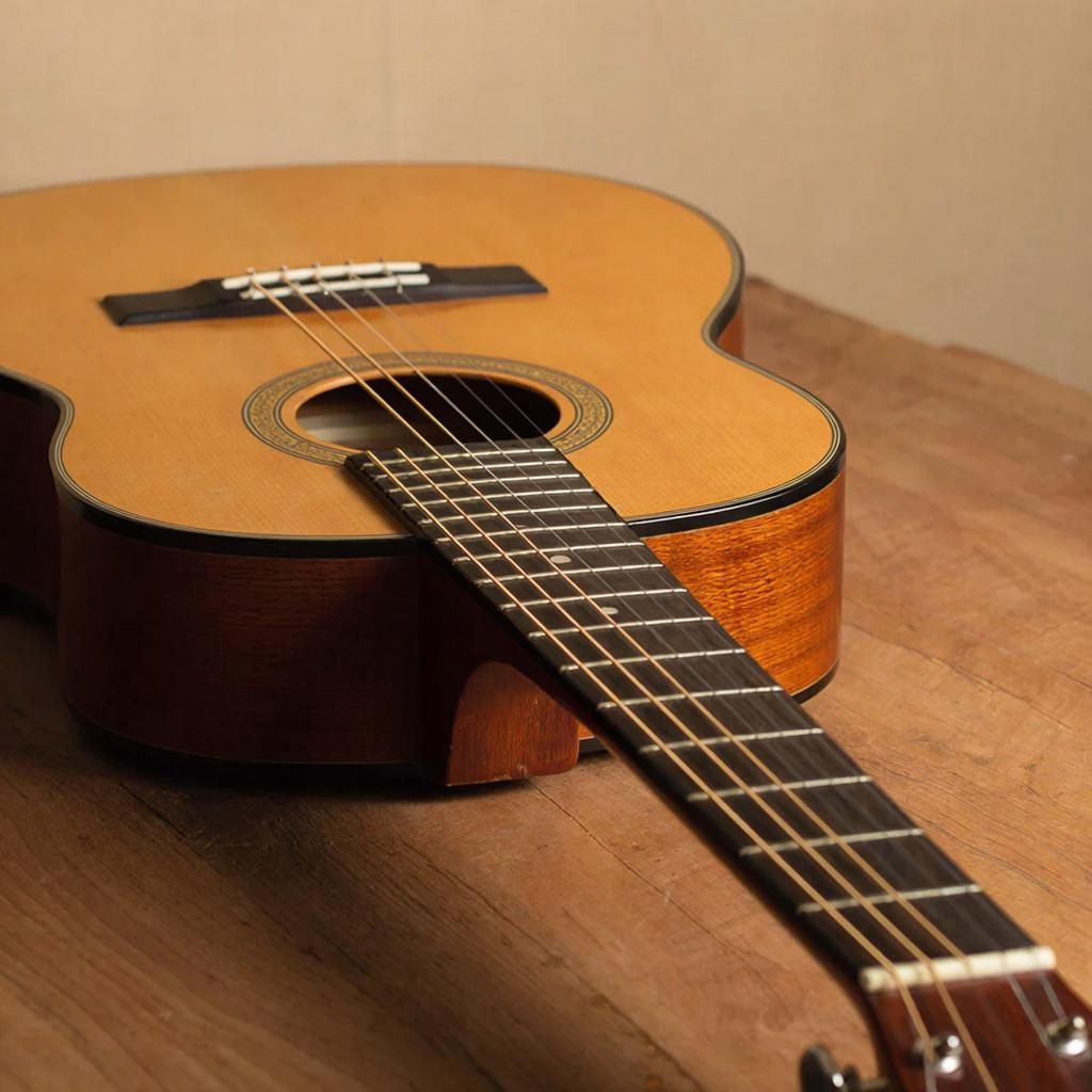 В Кирове пройдет творческий вечер бардовской песни