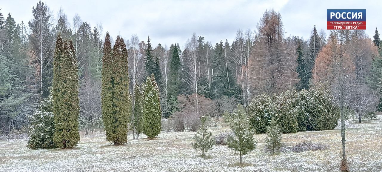 Небольшой дождь со снегом ожидается в Кировской области