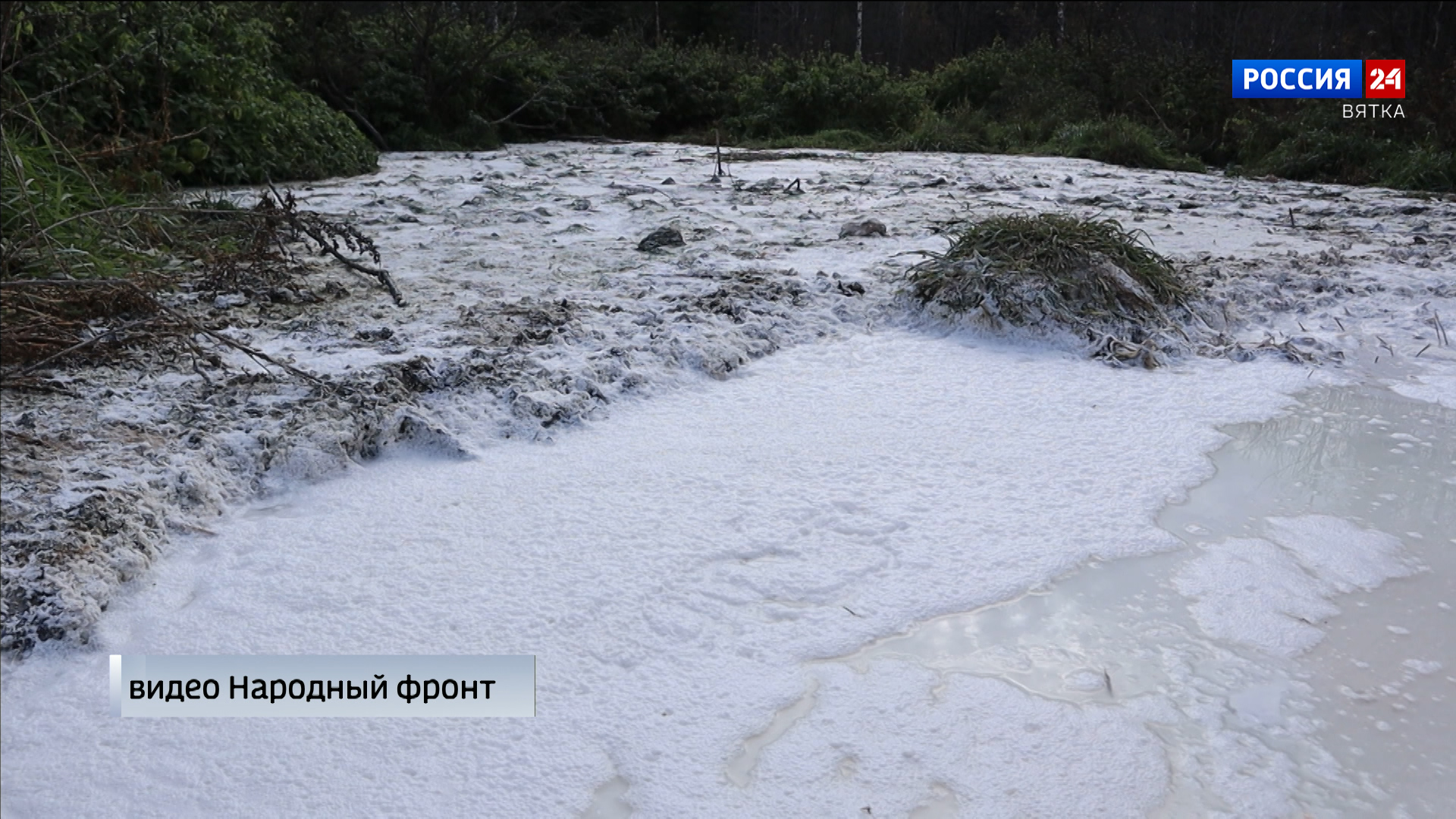 В «кисломолочном» болоте под Котельничем выявлено загрязнение нефтепродуктами, железом и алюминием