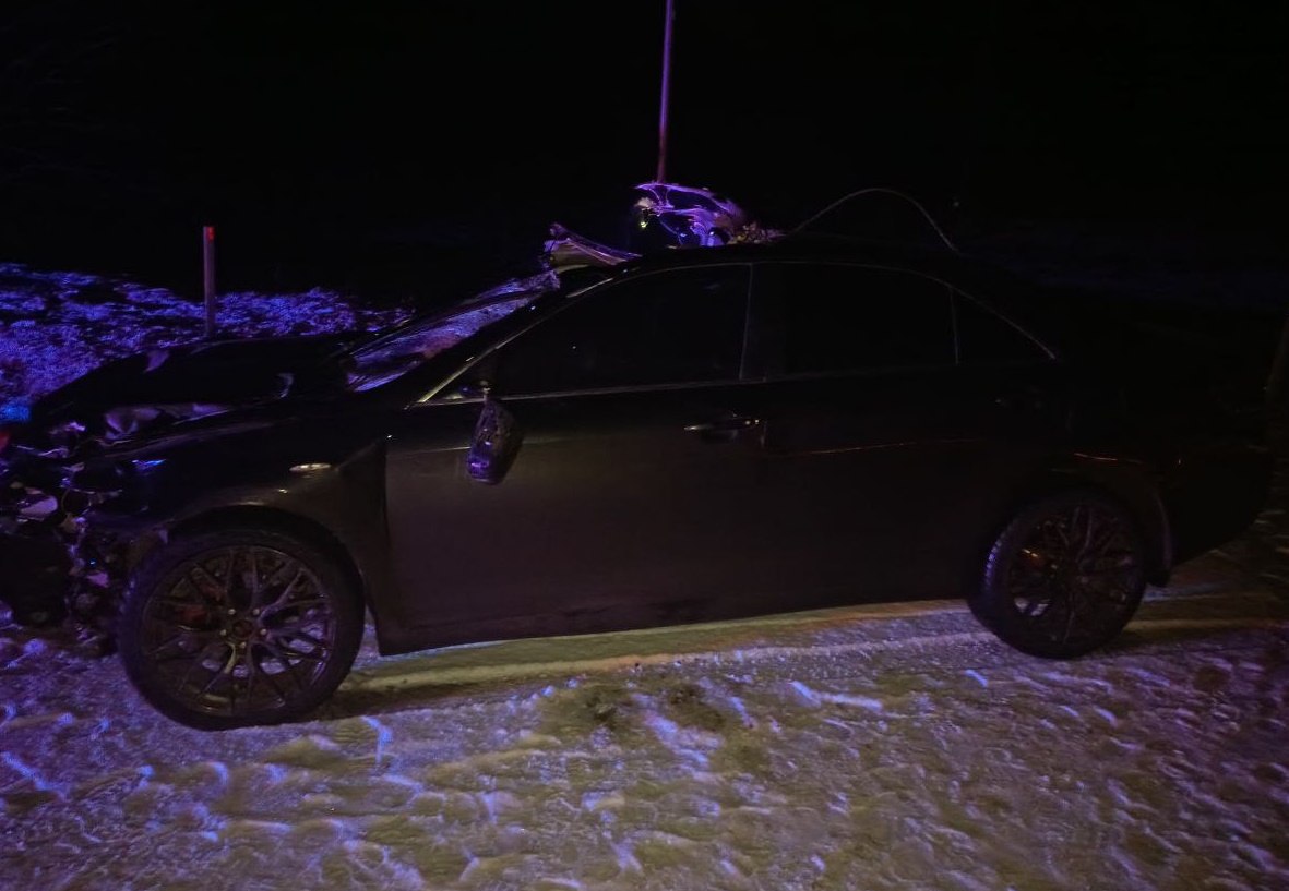 В Верхошижемском районе иномарка наехала на лося