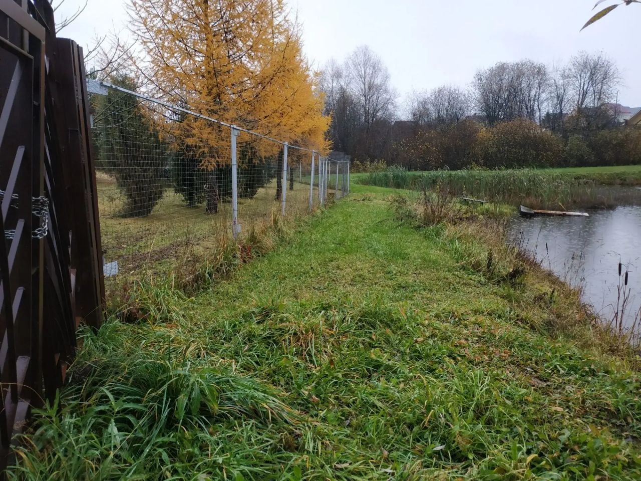 К пруду в деревне Филимоновщина открыт свободный доступ