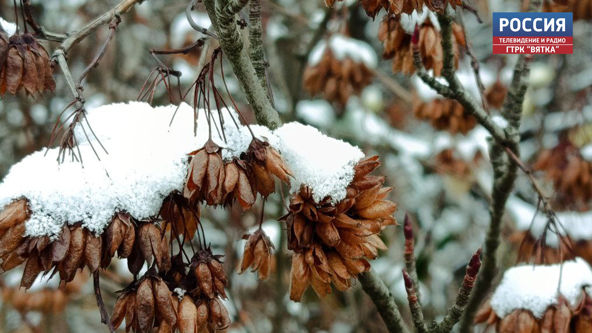 В среду в Кировской области ожидается до  8 градусов