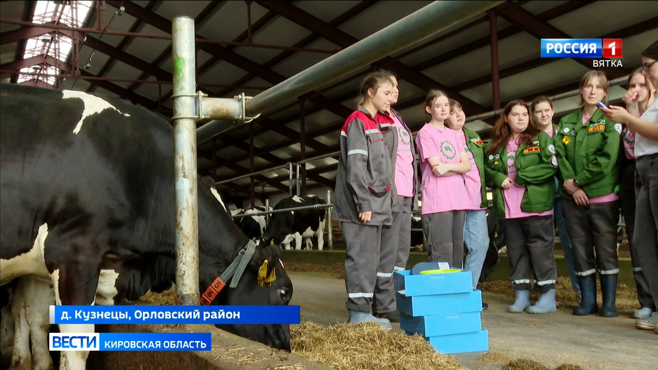 В 2026 году в России стартует программа «Агропрофессионалитет»