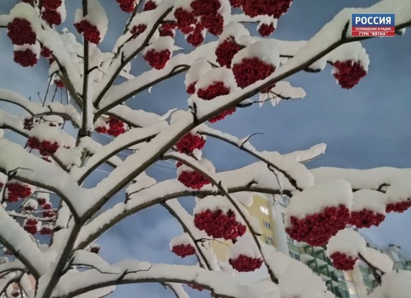 В воскресенье в Кировской области прогнозируют дождь со снегом и гололёд