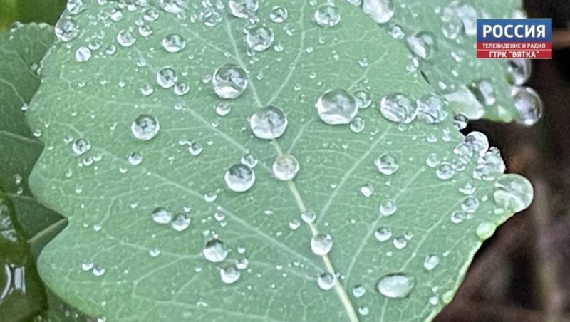 Дождь со снегом прогнозируют в субботу в Кировской области