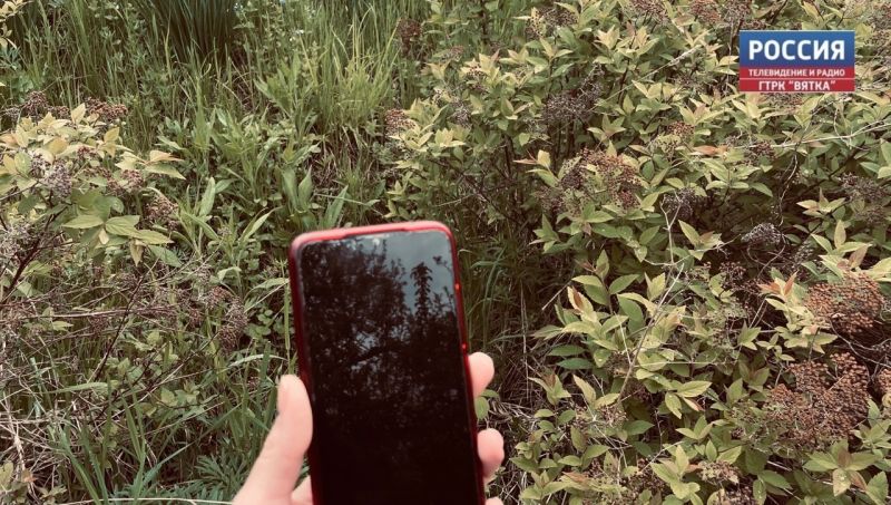 Нашел бесхозную вещь: что делать