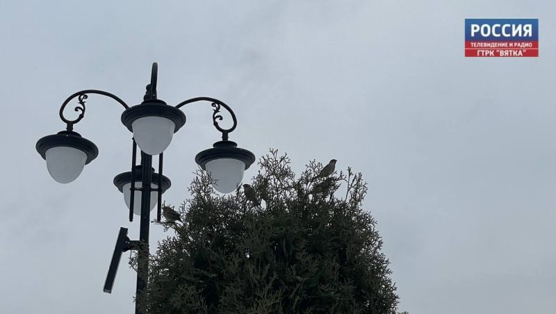 В понедельник в Кирове обещают до -2