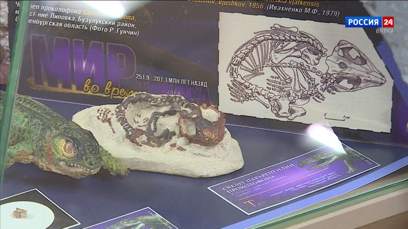 В Кирове можно погрузиться в самое начало «эры динозавров»