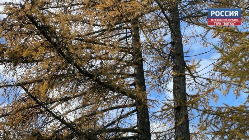 В понедельник в Кирове обещают минусовую температуру без осадков