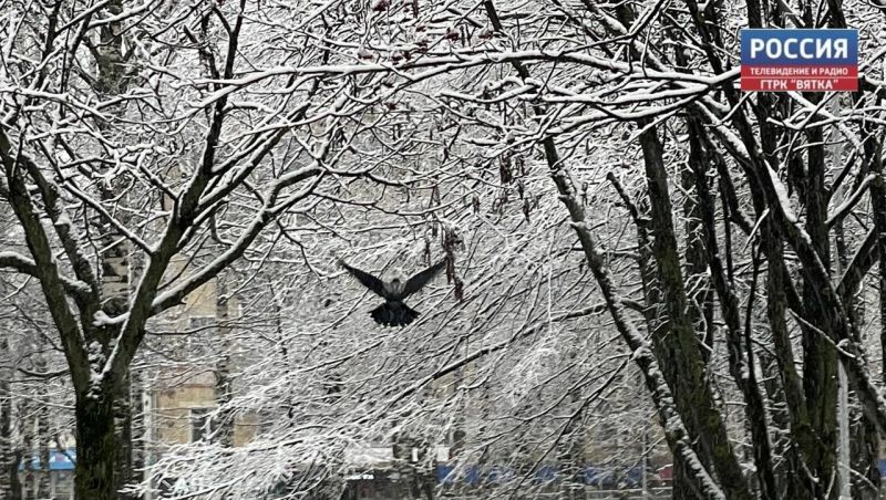 Во вторник в Кирове потеплеет до  6