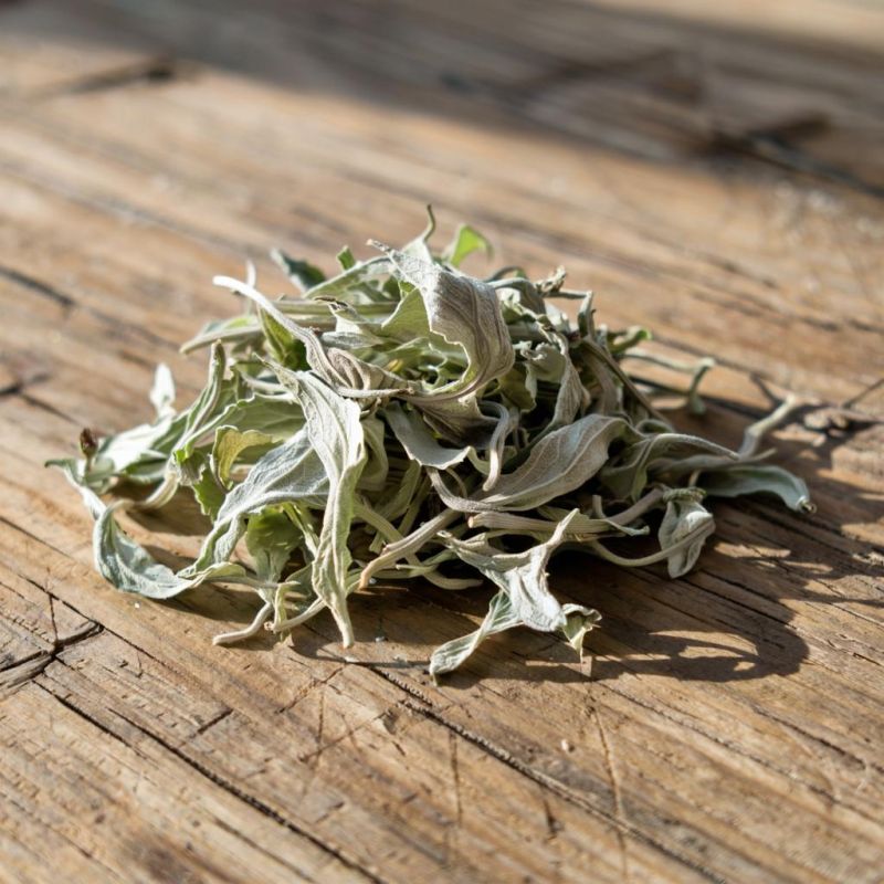 В регионе мужчину задержали за выращивание конопли