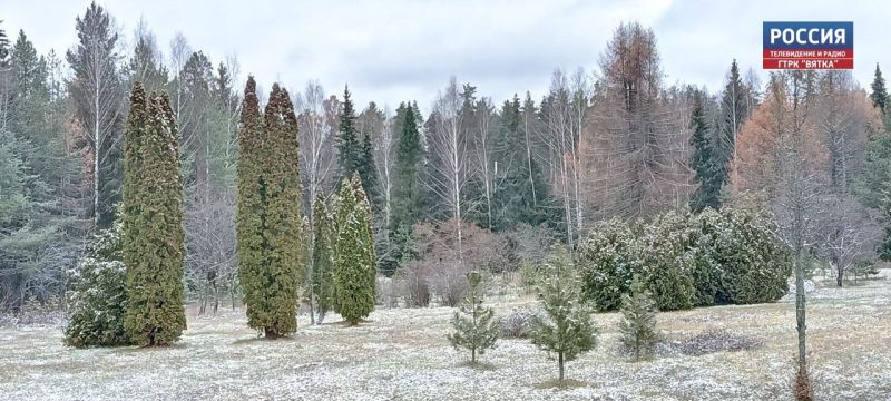 Небольшой дождь со снегом ожидается в Кировской области