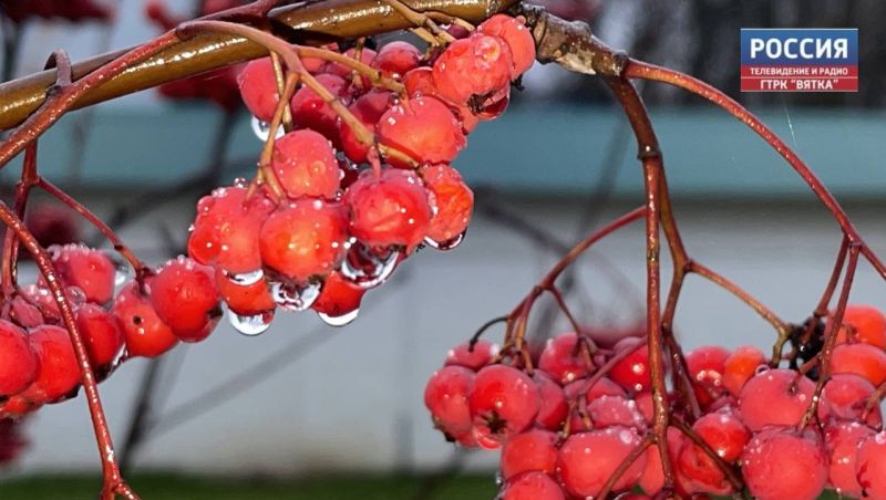Понедельник в Кирове: плюсовая температура и осадки