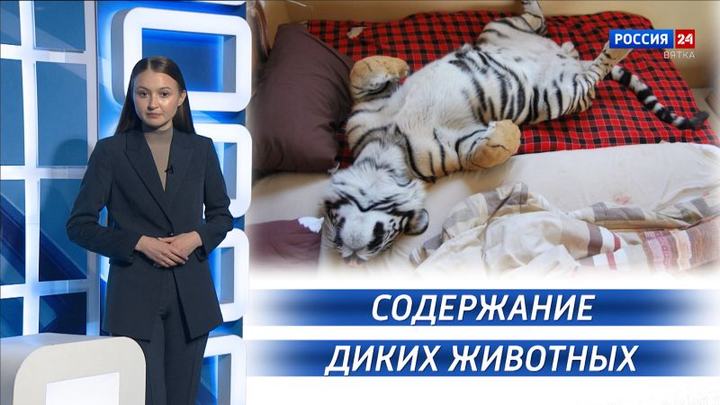 Вести. Право (27.11.2025)