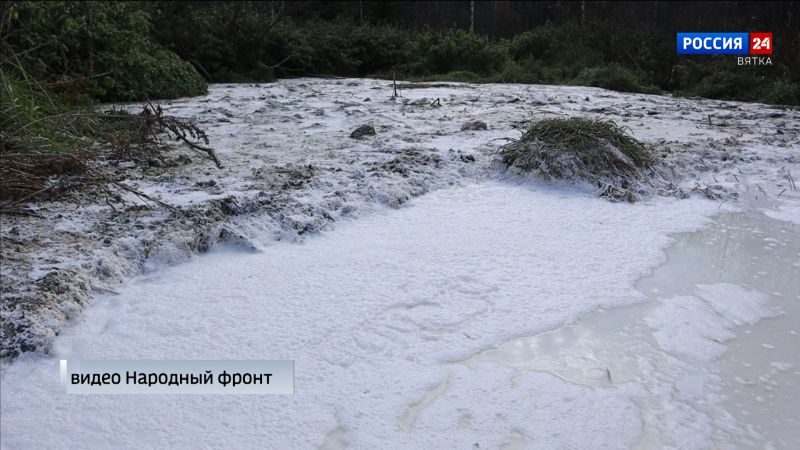 В «кисломолочном» болоте под Котельничем выявлено загрязнение нефтепродуктами, железом и алюминием